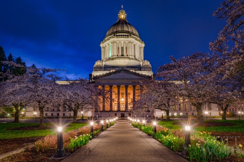 Capitol In Bloom