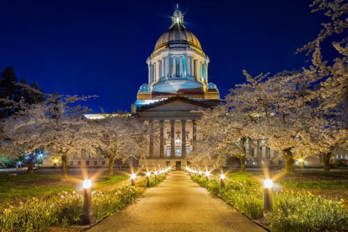 Twilight Capitol