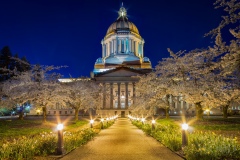 Twilight Capitol