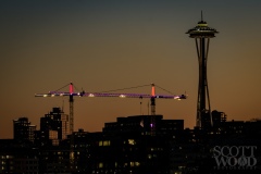 Crane and Needle Sunset