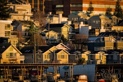 Lake Union Houses