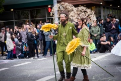 Dandelions