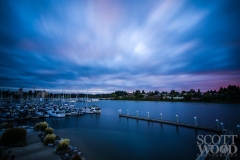 Budd Bay Blues