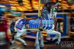Carnival Horse
