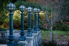 Five Lights