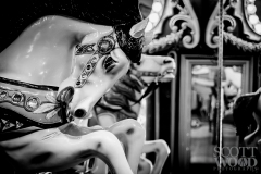 Seattle Carousel