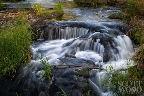 OCC Advanced Group Tumwater Falls Photowalk