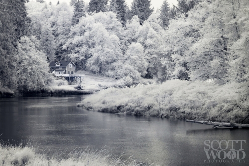 Naselle River House