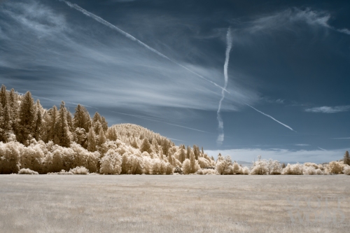 X Marks The Spot