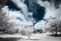 The Ball Park