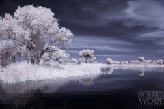 safford-55