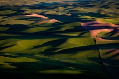 Long Shadows