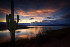 Roosevelt Sunset