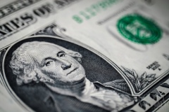 Dollar Bill