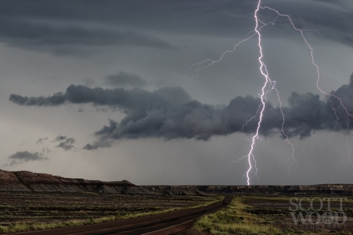 Petrified Forest Lightning