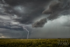 Violent Skies