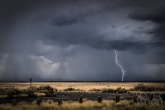 Winslow Lightning