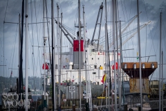 Masts and Cranes