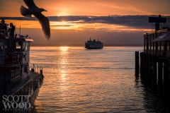 Sailing Into The Sunset