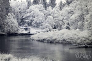 Coming back to infrared photography