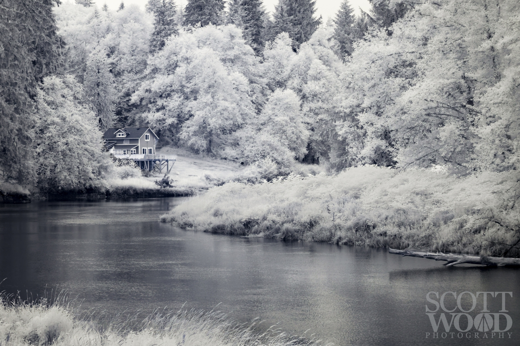 Coming back to infrared photography